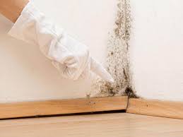 Best Environmental Consulting for Mold Prevention  in Glespie, IL